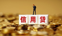 成都26哪有个人借贷-成都26小额贷款公司-成都26私借空放免费上门